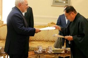 دیدار سفیر جدید ژاپن در تهران با ظریف