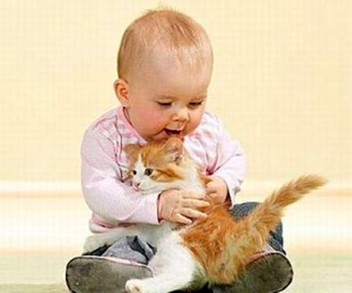 دوستی زیبای بچه گربه ها و کودکان