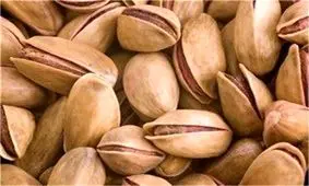 پسته در بازار تهران کیلویی ۱۰ دلار