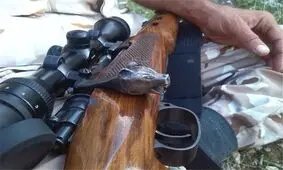 شکارچیان غیرمجاز پارک ملی گلستان شناسایی شدند
