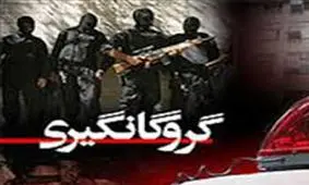 همسایه کنجکاو راز آدم‌ربایی فامیلی را برملا کرد/ مهندس جوان از دست گروگانگیرها نجات یافت