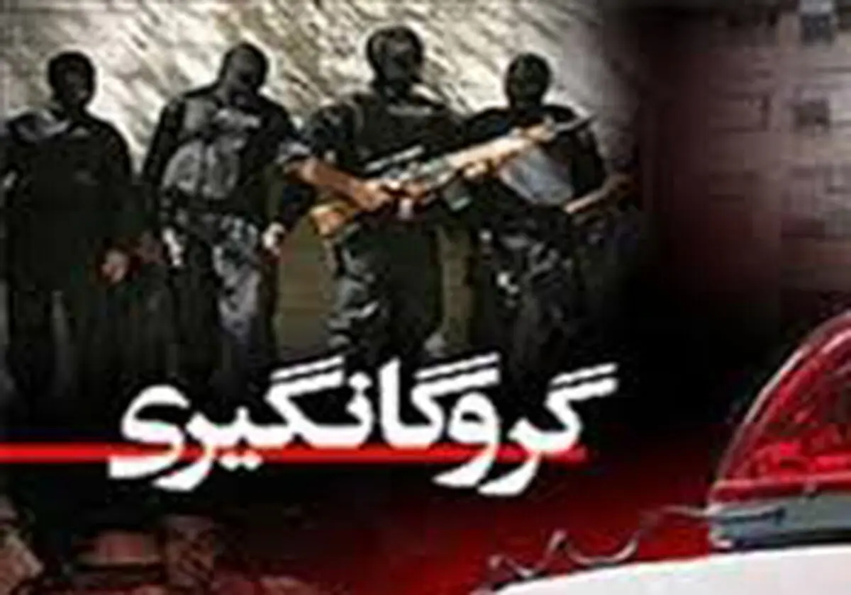 همسایه کنجکاو راز آدم‌ربایی فامیلی را برملا کرد/ مهندس جوان از دست گروگانگیرها نجات یافت