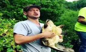 حمله عجیب لاکپشت به صاحبش