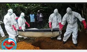 139 تن قربانی ابولا