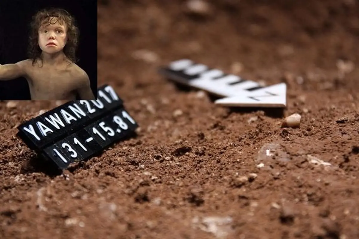 نخستین دندان انسان نئاندرتال در ایران کشف شد