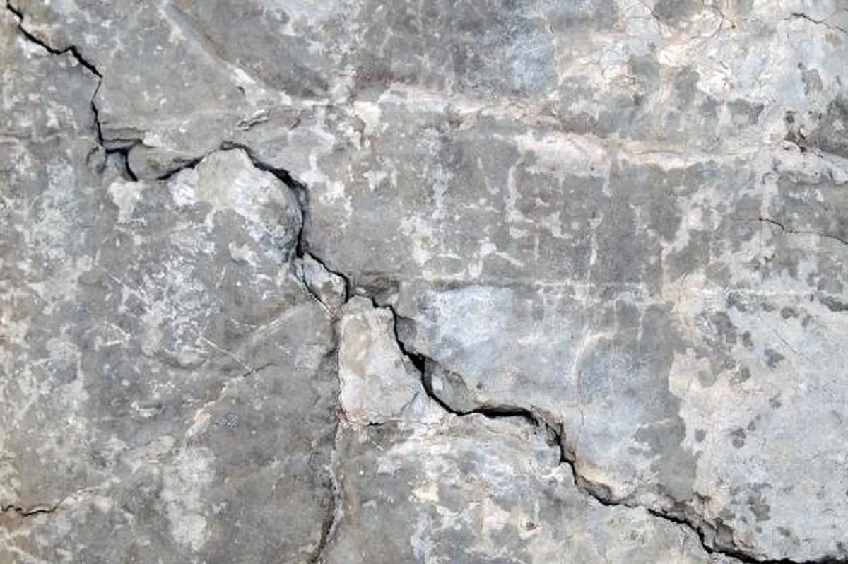 هویج قدرت سیمان را افزایش می‌دهد!