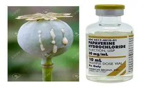 راه جدید مبارزه با سرطان با داروی ۱۵۰ ساله