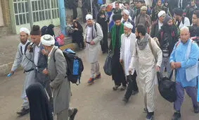 مفتی اهل سنت: به راهپیمایی اربعین می‌رویم/ برخی اهل‌سنت زیارت امام حسین را واجب می‌دانند