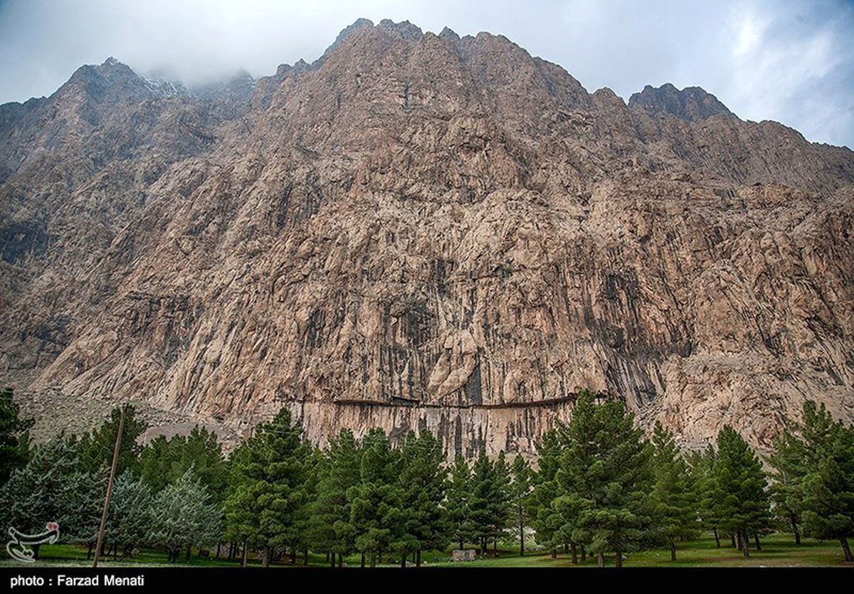 درختان کاجستان بیستون ایستاده میسوزند