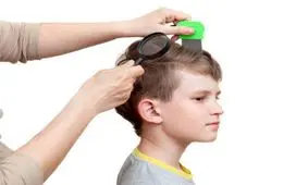 چه کنیم تا شپش نگیریم؟