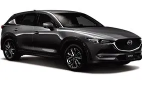 خودرویی که قرار بود به ایران بیاید