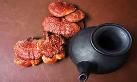 چای گانودرما چیست و چه خواصی دارد؟