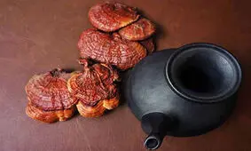 چای گانودرما چیست و چه خواصی دارد؟