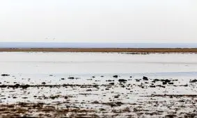 چاه‌ها بلای جان تالاب‌ها/ بهره‌کشی غیرخردمندانه از منابع آب در فارس