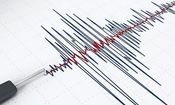 زلزله ۴.۳ ریشتری بندر دیر را لرزاند

