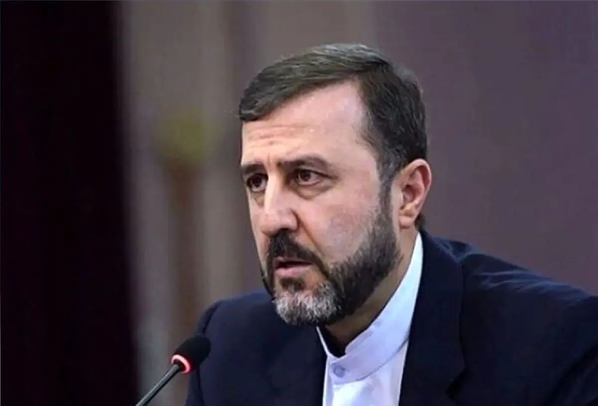حضور رئیس مجلس در مذاکرات اسلام‌آباد نشان دهنده جدیت جمهوری اسلامی ایران است