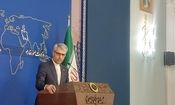 بقائی رفتار نامناسب دولت آمریکا با مهاجران و برخی اتباع ایرانی را تقبیح کرد

