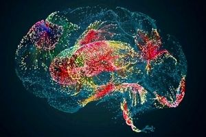 پیش بینی پیشرفت تومور مغزی با یادگیری ماشین