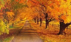 توصیه های سلامتی در آستانه ی تغییر فصل