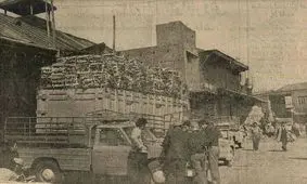 نرخ میوه و تره‌بار نوروز تهران در نیم قرن پیش