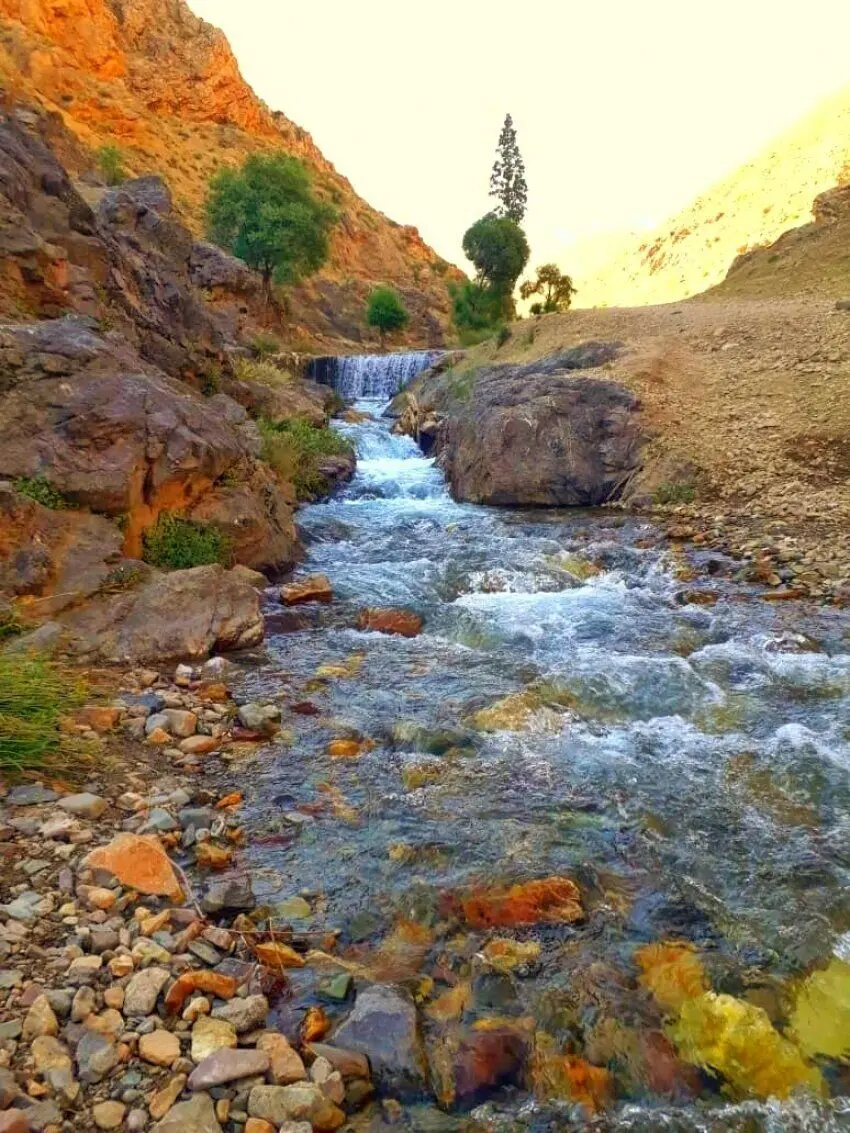 پاییز را همین نزدیکی پیدا کنید/ ۵ مقصد برای سفر یک‌روزه پاییزی اطراف تهران