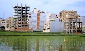  آپارتمان هایی که شالیزارهای ساری را محاصره کرده اند/ عکس