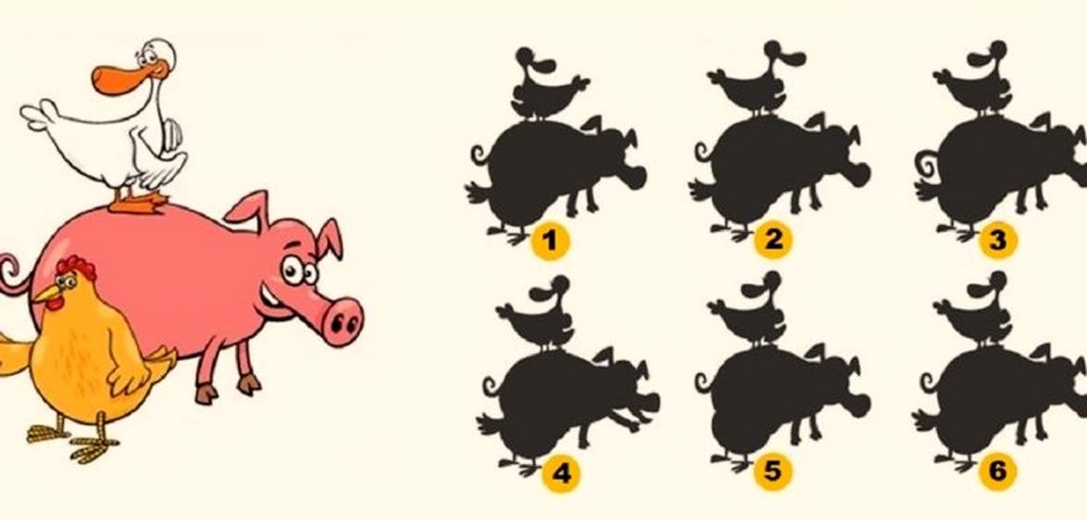 بازی فکری/  کدام قطعه از این سایه ها با تصویر مطابقت دارد