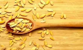 این تخمه منبع بزرگ پروتئین و خواص گوناگون هستند