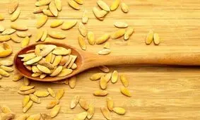 این تخمه منبع بزرگ پروتئین و خواص گوناگون هستند