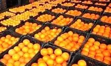 ماجرای پرتقال سمی در ایران چیست؟ 