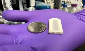 ایمپلنتی به اندازه یک سکه برای سلول‌درمانی افراد مبتلا به دیابت

