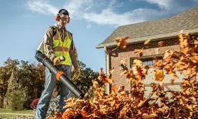 پاکسازی جالب یک خیابان از برگ‌ های پاییزی/ ویدئو