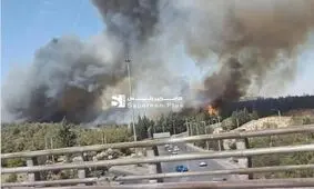 آتش سوزی در نزدیکی کاخ ریاست جمهوری سوریه/ ویدئو