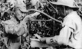 سربازی که سی سال در سنگر ماند/ عکس