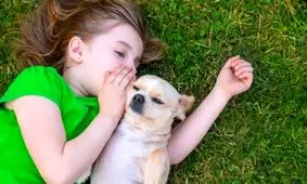 چگونه هوش مصنوعی می‌تواند زبان حیوانات را تفسیر کند؟