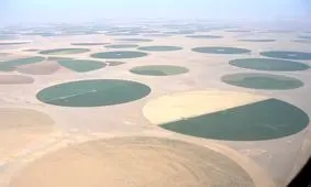 ادعای ترامپ درباره تبدیل صحرا به زمین کشاورزی در عربستان درست است؟