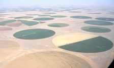 ادعای ترامپ درباره تبدیل صحرا به زمین کشاورزی در عربستان درست است؟
