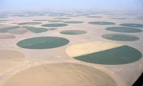 ادعای ترامپ درباره تبدیل صحرا به زمین کشاورزی در عربستان درست است؟