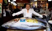 حراج ماهی تن؛ ۴۸۰ میلیارد تومان ناقابل