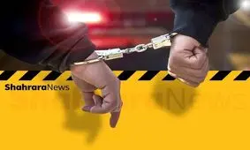 عاملان سنگ‌پرانی و تیراندازی به کامیون‌های در حال تردد در کشور دستگیر شدند