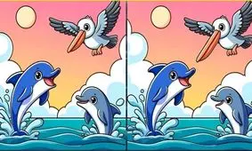 تست بینایی/ 3 تفاوت تصویری دلفینها و پرنده دریایی را پیدا کنید