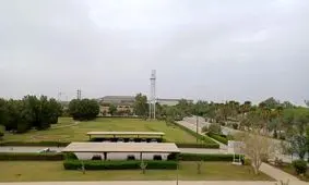 سد دفاعی نیشکر مقابل ریزگردها