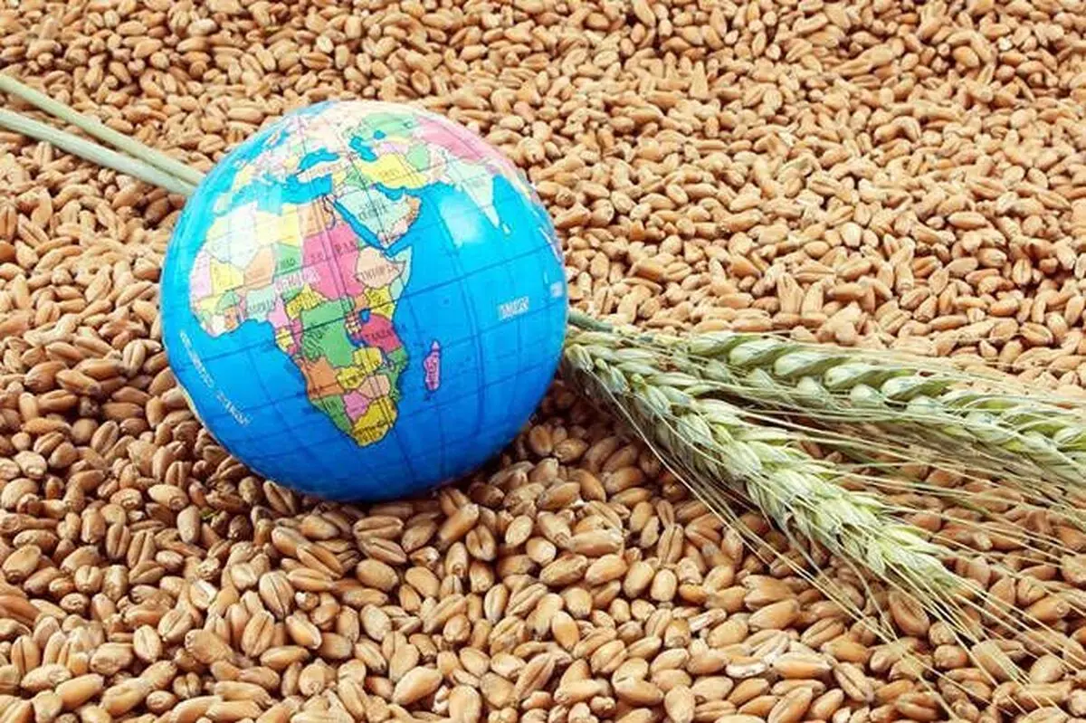 جنگ اوکراین و بحران جهانی غذا