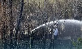 آتش‌ سوزی در عرصه های طالقان مهار شد