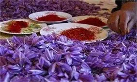 یک کیلو زعفران چند شد؟