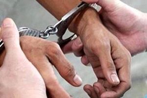 بازداشت عامل کتک زدن مامور شهرداری در سیرجان