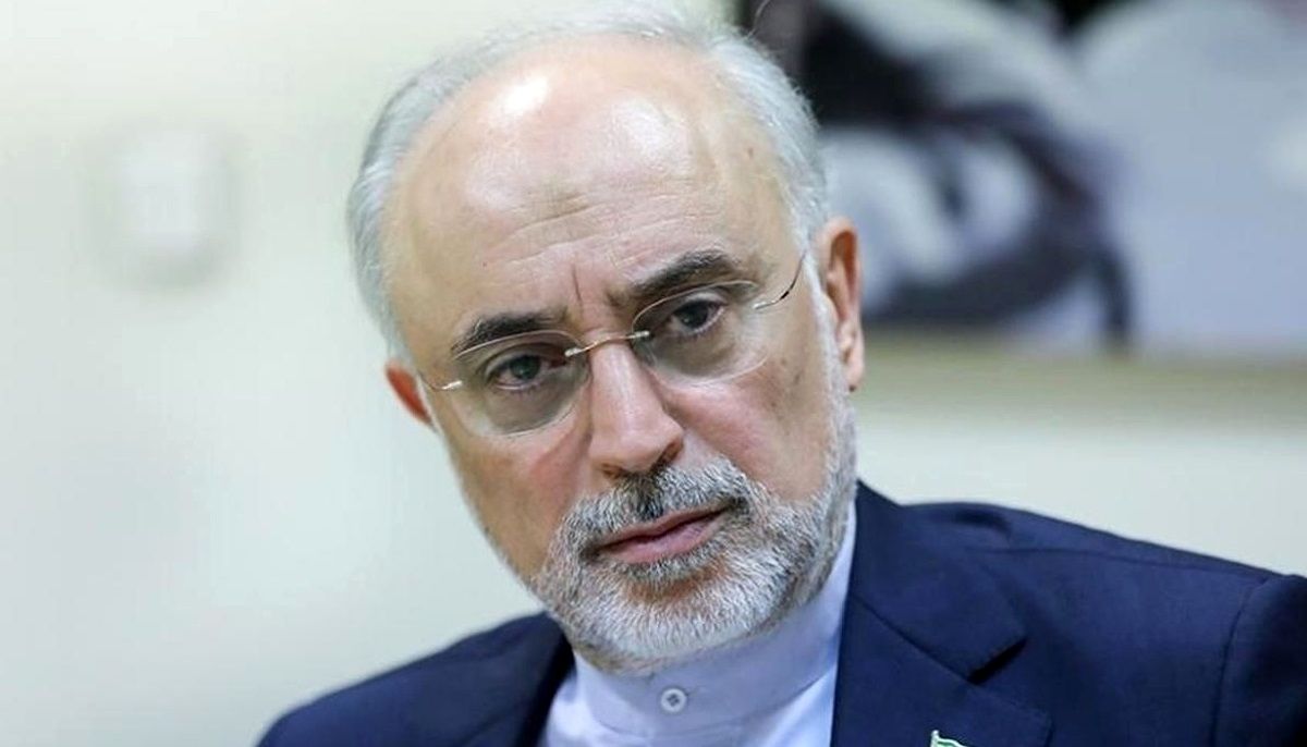 اقدام جدید مجری جنجالی در گفتگو با علیاکبر صالحی/ به دکتر پزشکیان زنگ بزنید بگویید پنچر کردهاید!/ ویدئو