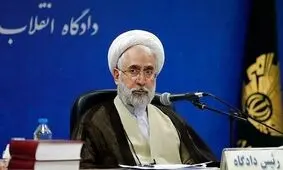 همه رد صلاحیت‌ ها انتخاباتی به منزله داشتن پرونده قضائی نیست/ دستگاه‌های مرتبط علت رد صلاحیت‌ها را به اطلاع عموم مردم برسانند