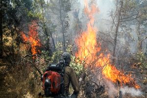 صدور ۴ دستور قضایی برای آتش‌سوزی جنگل‌های مریوان