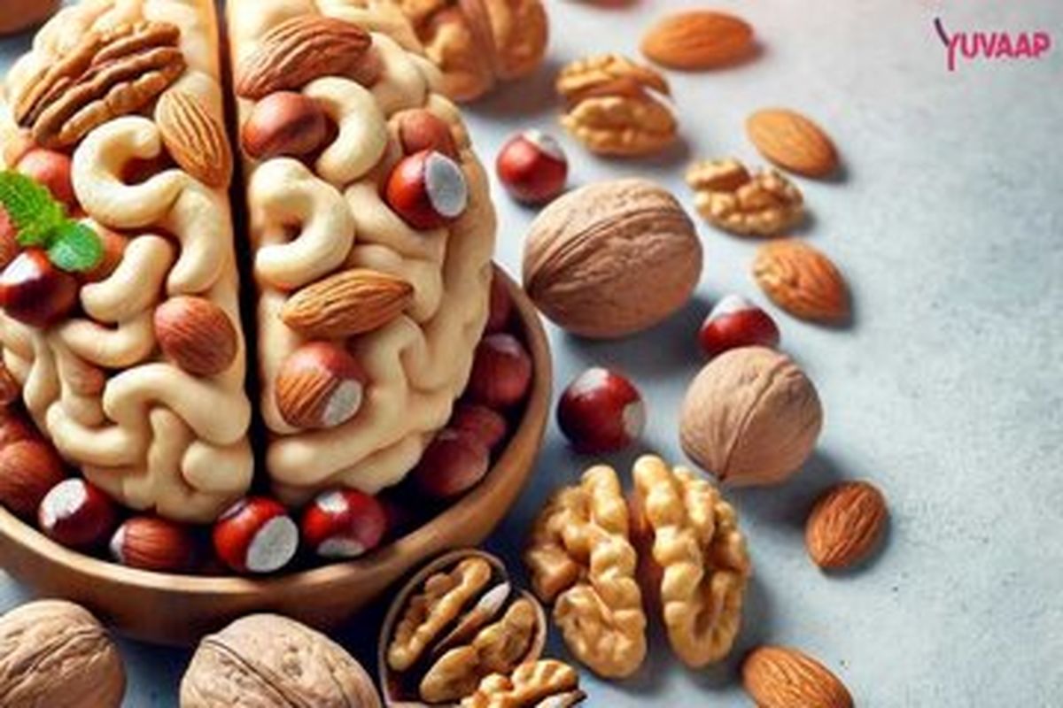 این مغز آجیلی برای کمتوانی جنسی و ضعف حافظه مفید است/ آجیلی که تلخ و شیرین آن خواص درمانی دارد